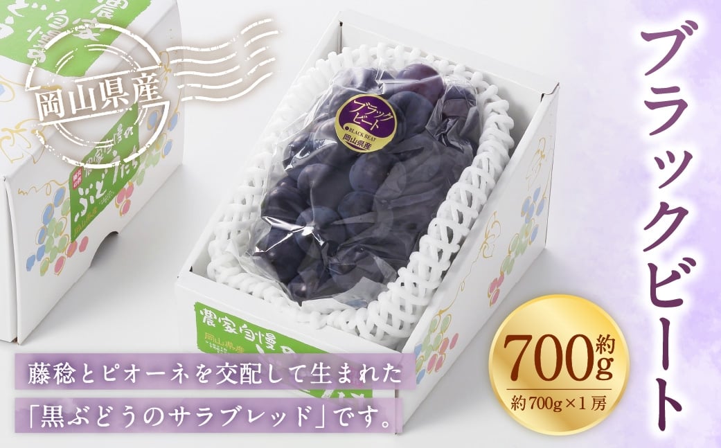 
                  岡山県産 ブラックビート 約700g （ 約700g×1房 ） ぶどう ブドウ 葡萄 くだもの 果物 果実 フルーツ 国産 黒ぶどう 【 2026年8月上旬～9月上旬発送予定 】
                