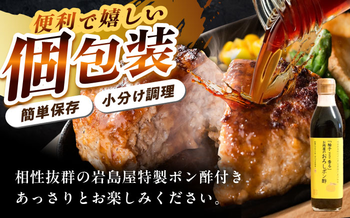 【3回定期便】 飛騨牛100% ハンバーグ7個 A5,A4ランク 特製笠置ゆず使用おろしポン酢付 和牛 国産 惣菜 恵那市 / 岩島屋 [AUAJ042]