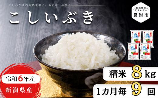 米 定期便 8kg×9か月(計 72kg) 新潟県産 こしいぶき 令和6年産 精米したてをお届け 新潟のど真ん中 見附市