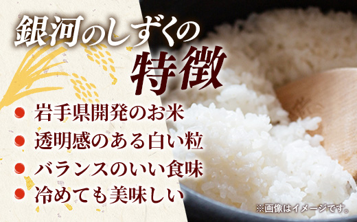 令和7年産 岩手町産 銀河のしずく 20kg(5kg×4袋) ／ 白米 ご飯 米 精米 おこめ 単一原料米 ブランド米 新鮮 おすすめ 送料無料 岩手県 岩手町 銀河のしずく 20kg（5kg×4袋）