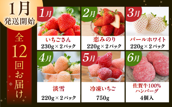 【先行予約】【全12回定期便】佐賀県の生産者を応援！いちごと佐賀牛のわくわく定期便 / 白いちご いちご ステーキ ハンバーグ 切り落とし 佐賀牛 / 佐賀県ふるさと納税 [41AAZZ010]