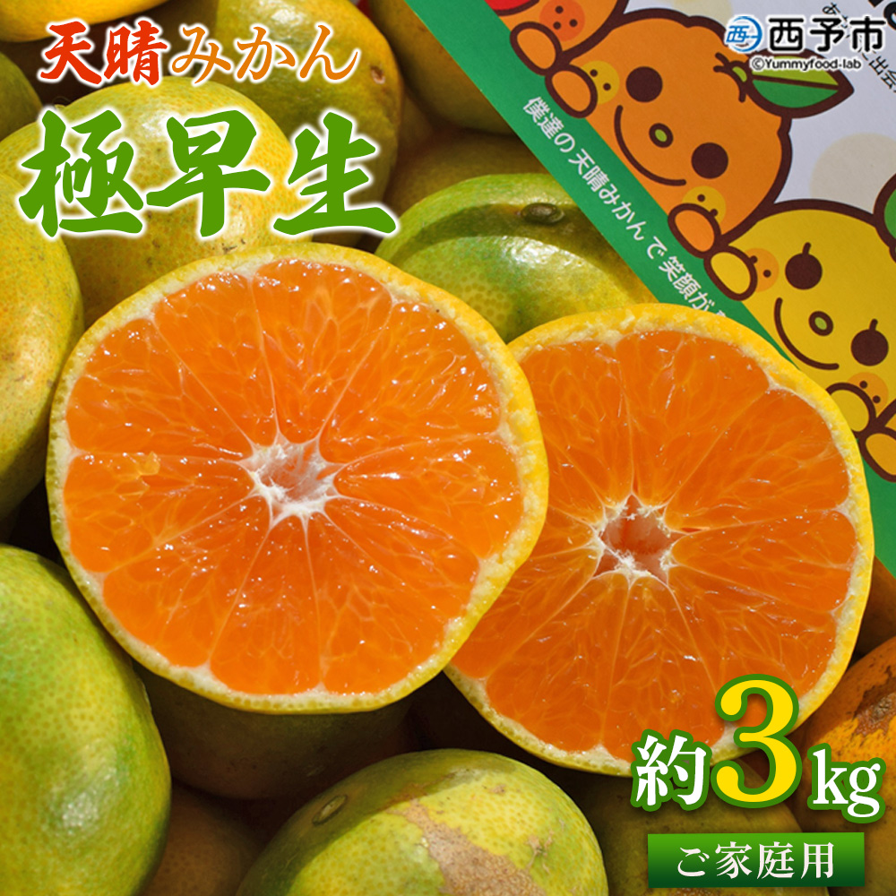 ＜天晴みかん 極早生 ご家庭用 約3kg＞  柑橘 果物 フルーツ 期間限定 季節限定 特産品 温州みかん 家庭用 自宅用 ジャム サラダ 株式会社笑丸 愛媛県 西予市