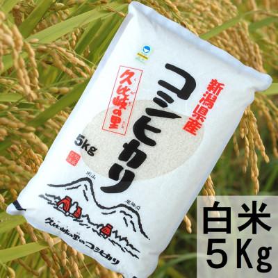 ふるさと納税 上越市 【令和7年産】新潟県上越産特別栽培米こしひかり5kg　精米