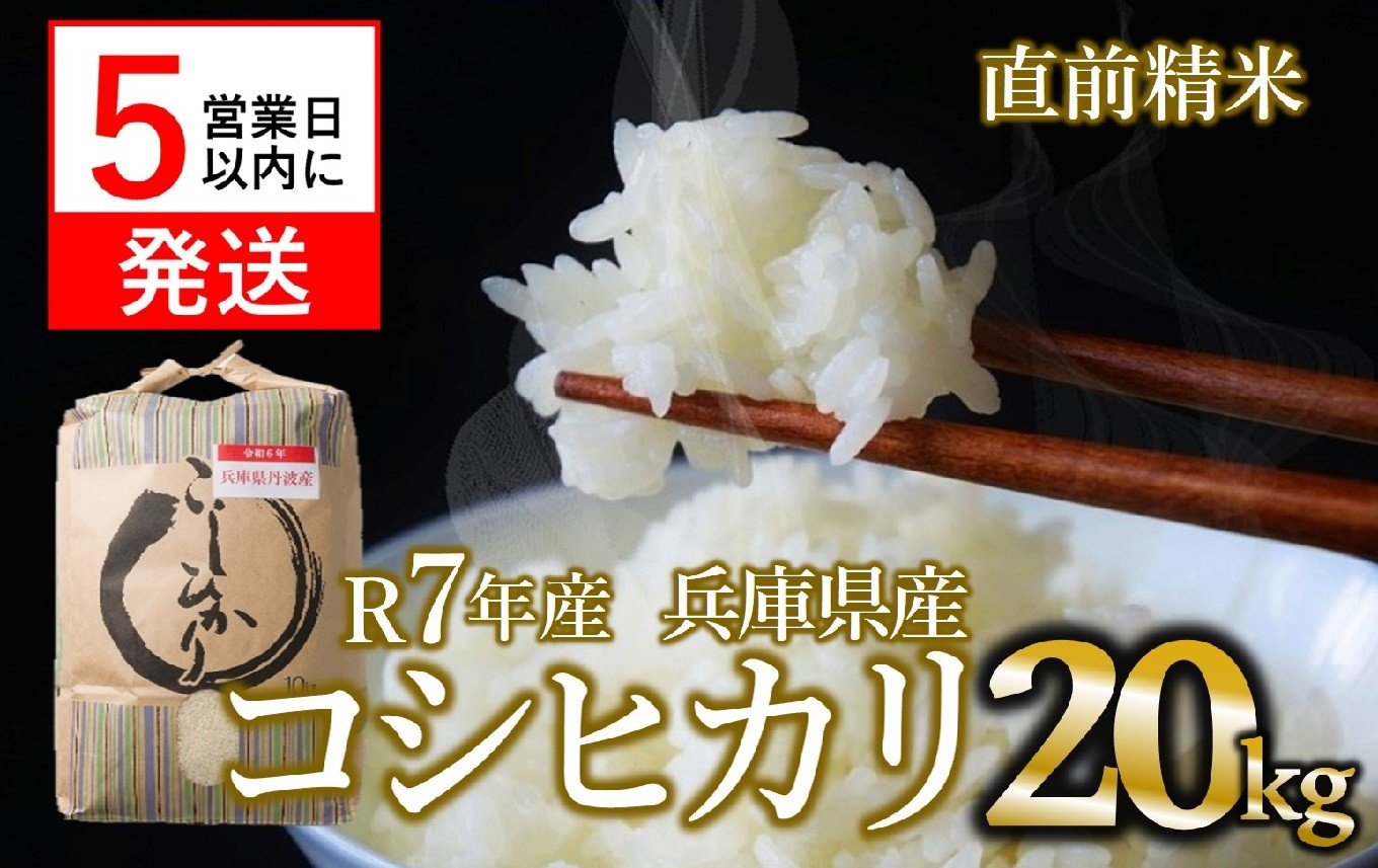 
                  【スピード発送】コシヒカリ 20kg 白米 令和７年産 米 お米 20kg 米20kg 兵庫県産 こしひかり コシヒカリ 西脇市産 令和7年産 R7年産 2025年産 精米
                
