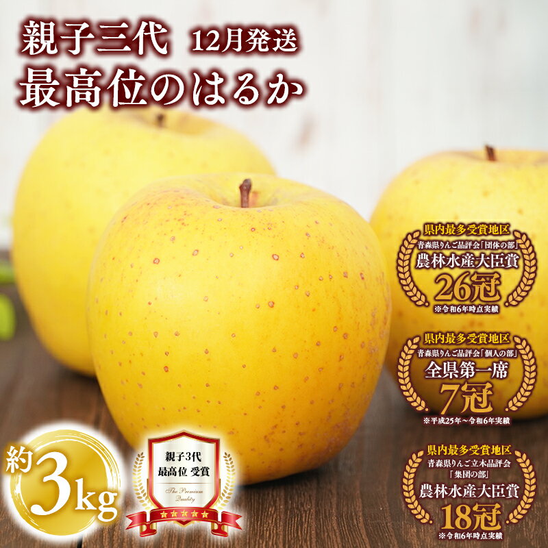 【ふるさと納税】≪12月発送≫ 親子三代最高位のはるか 約3kg 【青森県 平川市 釈迦のりんご園】全国ふじコンテスト最高賞受賞 青森りんご りんご リンゴ 林檎 贈答用 贈答 贈答規格 フルーツ 果物 はるか 平川市 青森 レビューキャンペーン