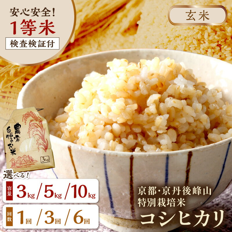 【ふるさと納税】残りわずか／高評価・こだわり米農家直送／玄米 3kg～高評価★5.0 高レビュー★／2026年産 京都・京丹後 峰山 特別栽培米コシヒカリ 3kg 5kg 10kg 定期便 3回 6回【玄米】1等米 検査済証付 選べる お米 玄米 お弁当 特別栽培 一等米 ふるさと納税 玄米 10kg
