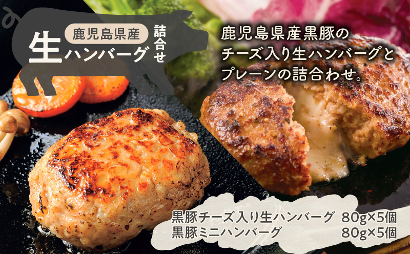 鹿児島県産黒豚 生ハンバーグ詰合せ　K356-005