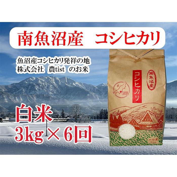 【ふるさと納税】【令和8年産 新米】【定期便 南魚沼産】コシヒカリ 白米3kg×6回【定期便 銘柄米 ブランド米 精米 こしひかり コシヒカリ 魚沼産 新潟米 産地直送 お米 米 こめ コメ ご飯 御飯 ごはん】