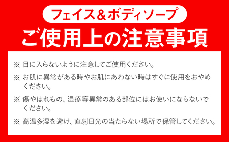 石鹸 藍石? ai ナチュラルフェイス＆ボディソープ 20g 1個