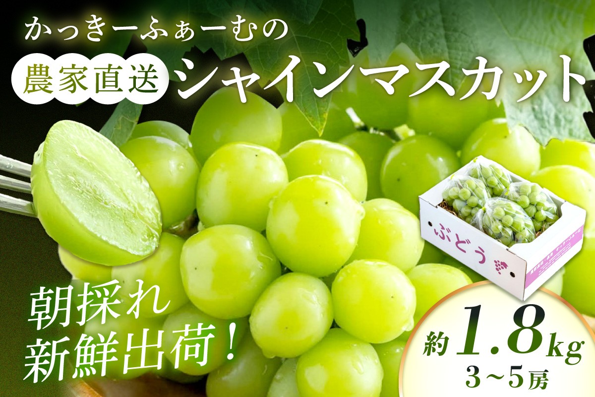 
                  【2026年発送分 先行予約】根域制限シャインマスカット 約1.8kg 3～5房《9月中旬頃から発送》 果物 シャインマスカット 先行予約 【183_1882】
                