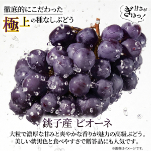 訳あり ピオーネ 1房 450g 以上 数量限定 種なし 