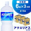 【ふるさと納税】【3か月定期便】アクエリアス PET 2L (6本×3回)【アクエリ スポーツ飲料 夏バテ予防 水分補給 2L 2リットル ペットボトル ペット スポーツ イベント】A6-R090347