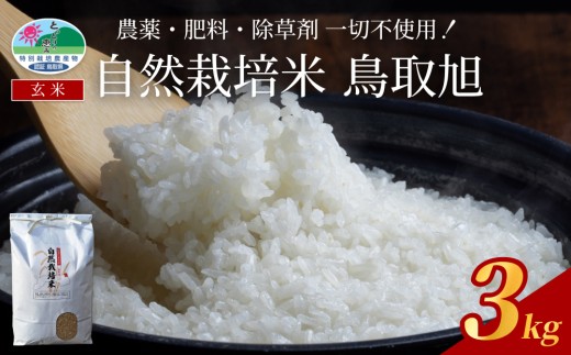 【先行予約】 自然栽培米 鳥取旭（玄米）3kg｜鳥取 岩美 岩美町産 令和８年産 お米 こめ 玄米 無農薬 無肥料【31022】
