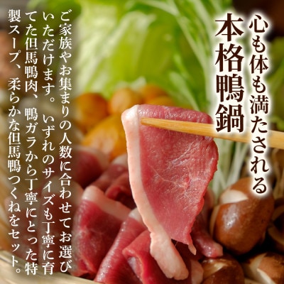 【家族や友人と囲むごちそう鍋】但馬鴨鍋パーティーセット(6～8人前)大人数で楽しむ贅沢鍋【配送不可地域：離島】