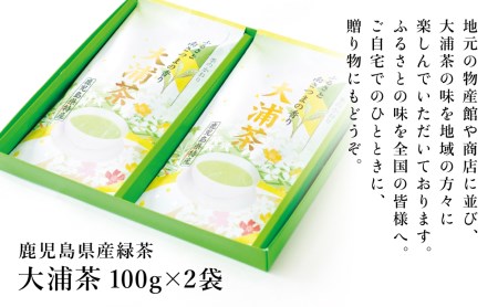 【贈答用】鹿児島県産緑茶 大浦茶 一番茶2本セット（100g×2） 鹿児島県産 かごしま お茶 日本茶 緑茶 茶葉 南さつま市 徳留茶農園