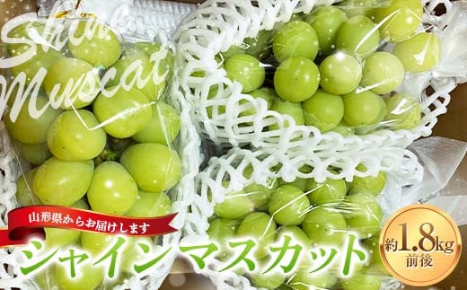 
            【令和7年産先行予約】 シャインマスカット 1.8kg前後 (3～4房入り) 《令和7年9月下旬～発送》 『きらめきぶどう園』 マスカット ぶどう 果物 フルーツ デザート 山形南陽産 山形県 南陽市 [858] 
          