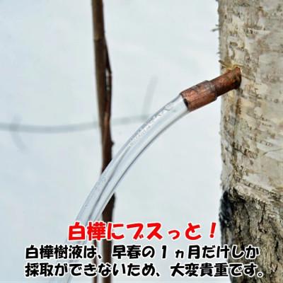 ふるさと納税 久慈市 白樺樹液と肌 しっとり美肌オールインワンジェル100g |  | 02