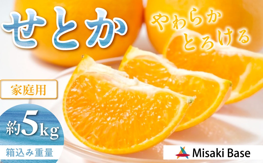 【先行予約】【家庭用】せとか 約5kg ※離島への配送不可（2026年3月より順次発送） IKTAB001 