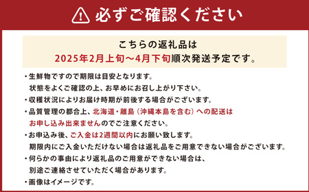 博多あまおう2パック（春） 250g～270g×2パック 合計約500g～540g あまおう いちご 苺 イチゴ フルーツ 果物 くだもの【2025年2月上旬-4月下旬発送予定】