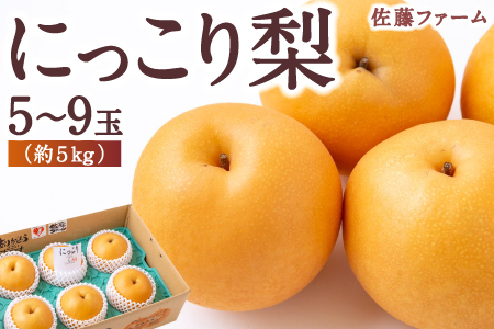 【先行予約】 佐藤ファーム にっこり梨 5玉から9玉 （約5kg） 【2025年10月中旬から10月下旬 出荷予定】 梨 なし ナシ にっこりなし 大玉 果物 くだもの フルーツ 果実 ジューシー お取り寄せ 福岡県 うきは市