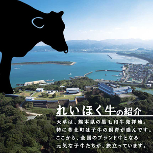 【定期便3ヶ月】熊本県産黒毛和牛　焼肉用ロースカルビ切り落とし５００ｇ　Ａ４～Ａ５ランク