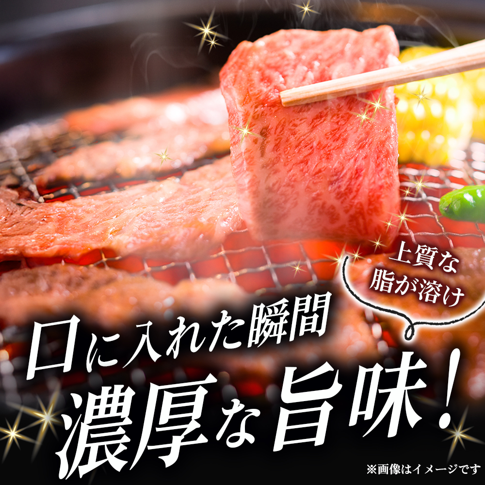 【A5等級】宮崎牛特選霜降り焼肉 1.2kg（400g×3P） 宮崎牛 プレミアムシリーズ ブランド牛 和牛 牛肉 焼肉 特選和牛 霜降り A5 宮崎県 小林市