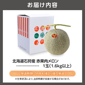 北海道石狩産 赤果肉メロン1玉 計1.6kg以上｜メロン フルーツ 果物 北海道 石狩市