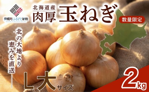 【2026年10月上旬以降発送】 玉ねぎ L大 サイズ 2kg ( 令和8年度産 タマネギ たまねぎ 玉ネギ 玉葱 オニオン スライス サラダ 野菜 スープ 肉じゃが 煮物 ハンバーグ すりおろし 甘い カレー BBQ バーベキュー 新鮮 旬 国産 訳あり 北海道 美幌町 先行予約 送料無料 数量限定 フライ 天ぷら ラーメン 寿司 餃子 ピザ 現地直送 )