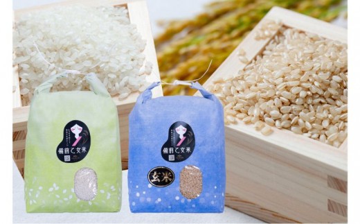 
                  令和8年産 新米 先行予約 備前乙女米 白米5kg×1袋 玄米5kg×1袋 岡山県産 | 米 お米 白米 精米 玄米 特A きぬむすめ 石原果樹園 【ishk048-01】
                
