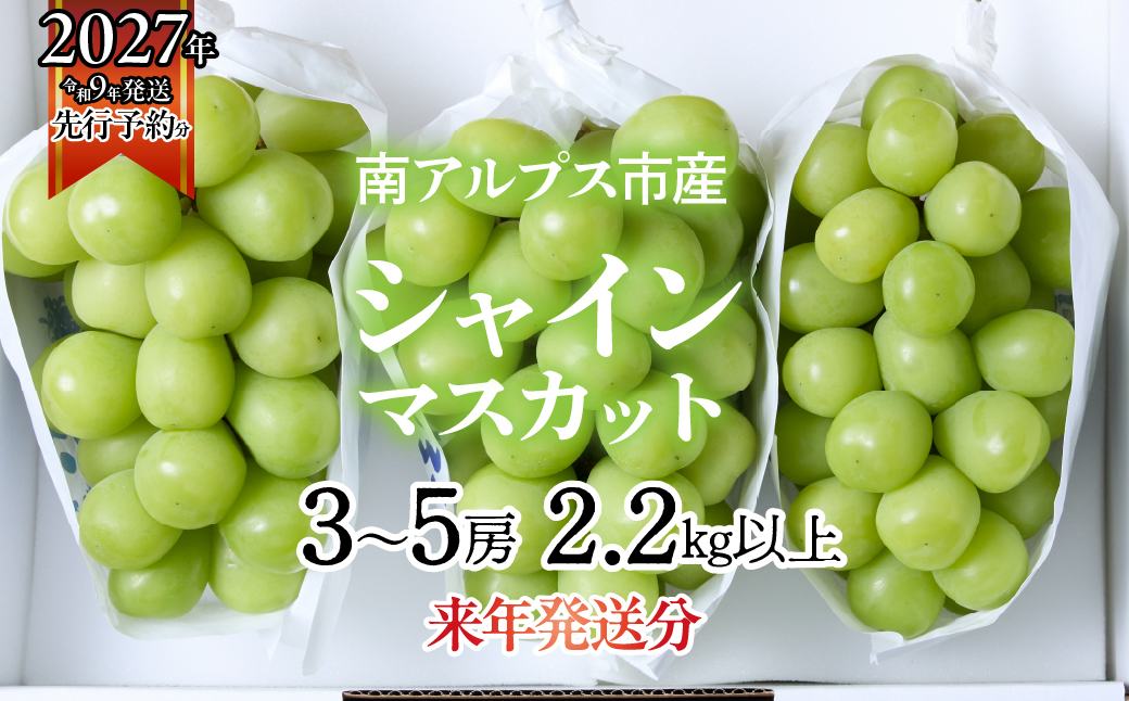 ★フジテレビ系列「ノンストップ」で取り上げられました！★＜2027年発送先行予約＞南アルプス市産シャインマスカット2.2kg以上（3～5房）　クール便発送 ALPAG011