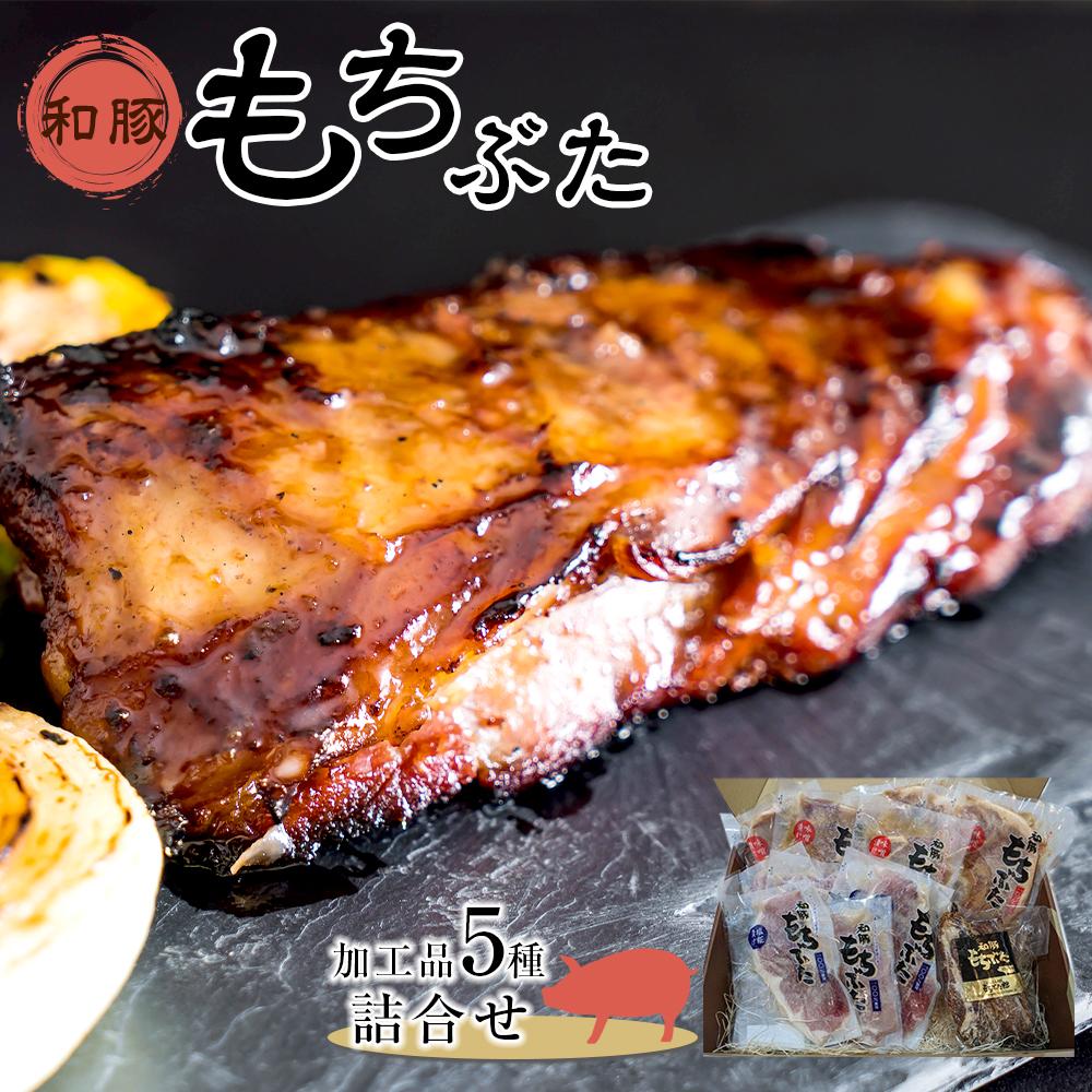 【ふるさと納税】豚肉 加工品 5種 詰め合わせ | 和豚 もち豚 肉 お肉 にく 豚 ぶた モモ もも モモ肉 肩ロース 味噌 味噌漬け 塩こうじ 塩糀漬け スペアリブ 食べ比べ セット 詰め合わせ ご当地 人気 おすすめ 宮城 ギフト