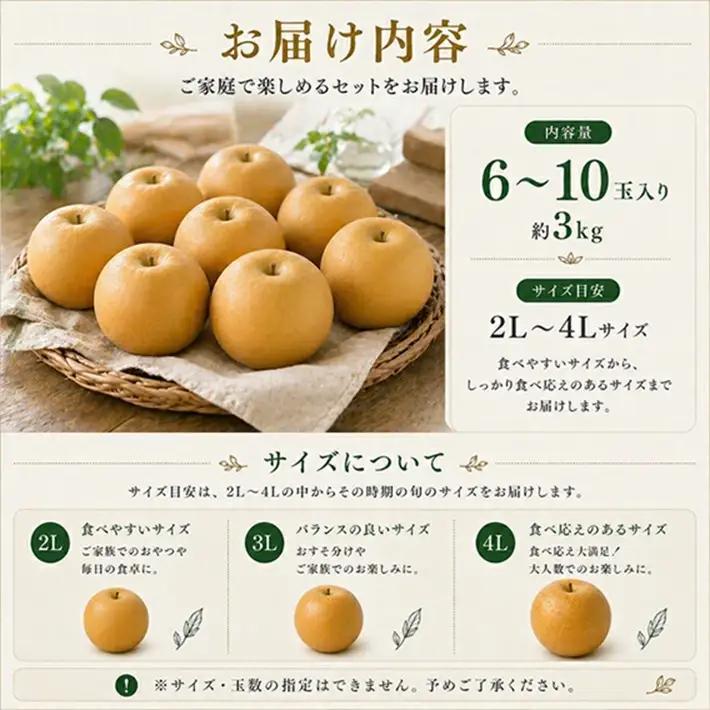 SA2990　刈屋梨　あきづき　約3kg(6～10玉入)