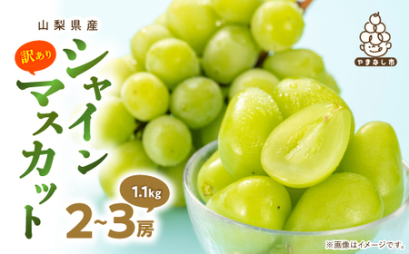 【訳あり】 池田青果のシャインマスカット2房～3房 1.1kg ふるさと納税【配送不可地域：離島】【1544090】