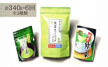 【全6回定期便】福岡銘茶 八女茶 ティーバッグ付 急須要らずのお手軽セット（便利なチャック付）《築上町》【株式会社マル五】[ABCJ127] おすすめお茶 こだわりお茶 自宅用お茶 人気お茶 贈答用お
