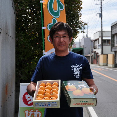 【ふるさと納税】【先行予約】5月下旬より順次発送　露地栽培「房州びわ」 Lサイズ15粒　化粧箱入り【配送不可地域：離島】【1492168】