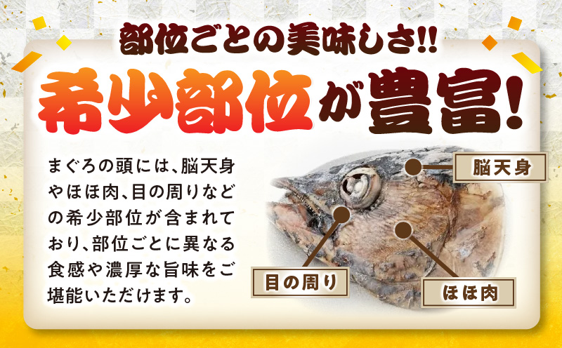 【宮崎獲れ】まぐろビンタ 頭 兜焼き キハダマグロ