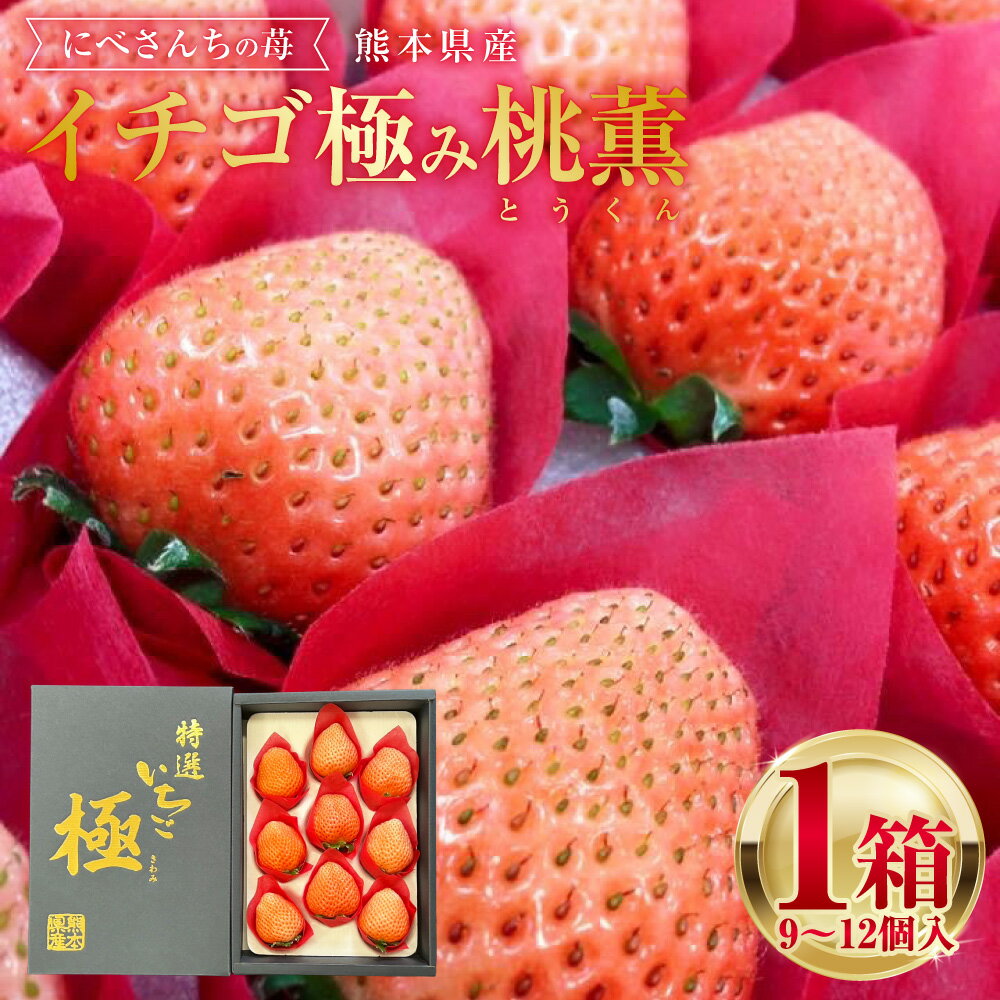 【ふるさと納税】にべさんちの苺 熊本県産 イチゴ 極み 桃薫(とうくん) 1箱(9～12個) 苺 いちご 果物 果実 フルーツ くだもの 冷蔵 九州 熊本県 送料無料 【2026年1月下旬発送開始】