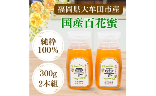 みつばちの雫　300g×2個セット　国産蜂蜜【1452807】