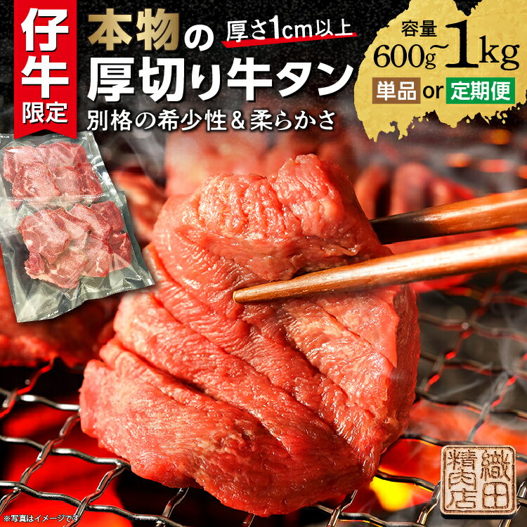 【ふるさと納税】牛タン 厚切り牛タン ステーキ 塩味 600g (300g×2) ・1kg (500g×2) 選べる 単品 定期便 6回 12回 パック 小分け | 厚切り牛タンステーキ 肉 焼肉 牛肉 牛たん 塩 天日塩 冷凍 BBQ バーベキュー アウトドア 厚切り タン 焼くだけ 簡単調理 真空冷凍 _b-445