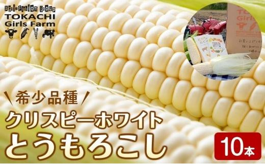 
先行予約 希少品種「クリスピーホワイトとうもろこし」10本 約3.5kg【十勝ガールズ農場】
