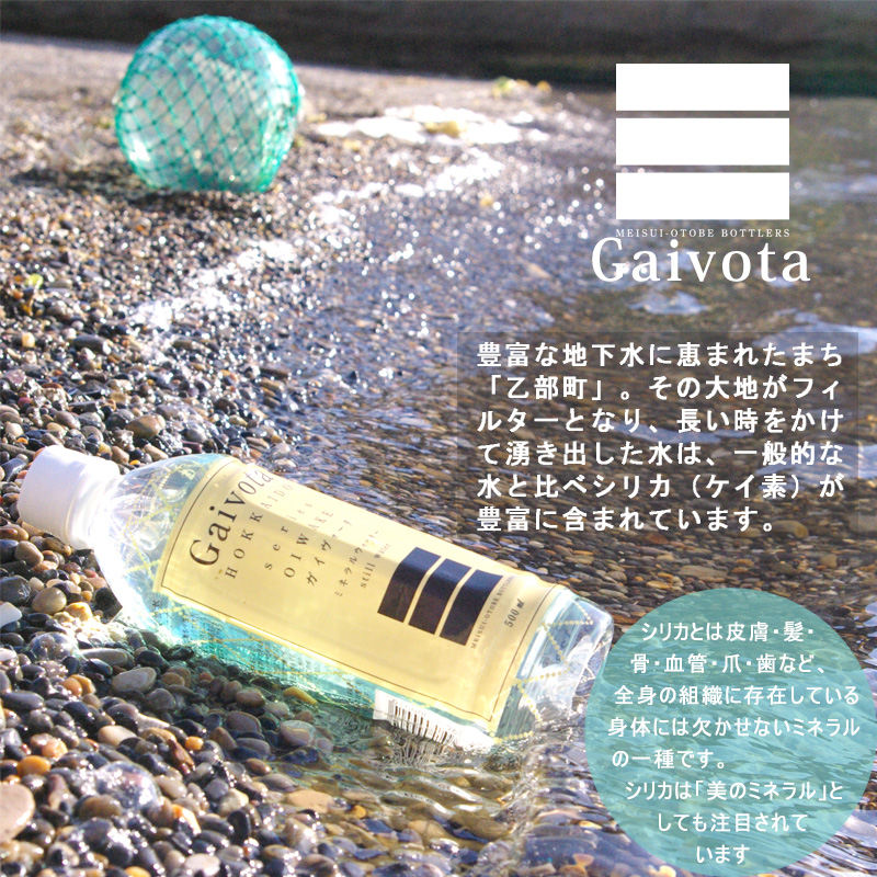 ＜定期便 Gaivota2箱(500ml×48本)×6回＞北のハイグレード食品 天然シリカ水 ミネラルウォーター_イメージ5