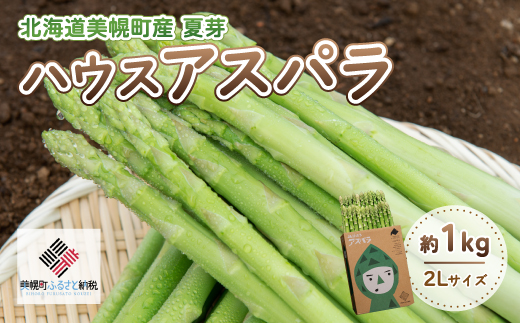[先行受付]2025年産 ハウスアスパラ(夏芽)2Lサイズ 約1kg【配送不可地域：離島】 BHRG016