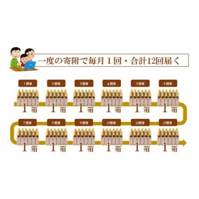 ふるさと納税 羽咋市 【毎月定期便】能登のはとむぎ茶　500ml×24本全12回 |  | 03