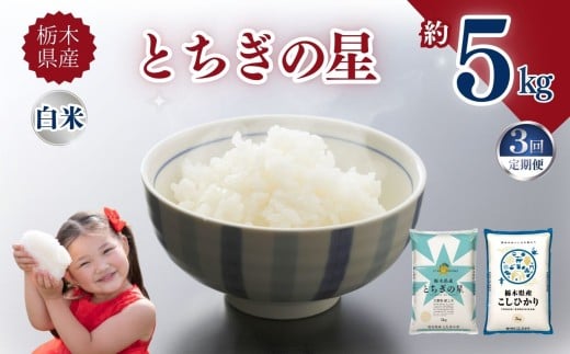 【定期便3回】栃木県産とちぎの星 5kg | お米 米 こめ ご飯 美味しい ふるさと 栃木県 矢板市 【栃木県共通返礼品】 ブランド米