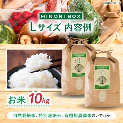 ふるさと納税 糸島市 【全4回定期便令和7年産新米】糸島産 肉 米 野菜 果物 厳選詰め合わせ Lサイズ [AOP003] |  | 01