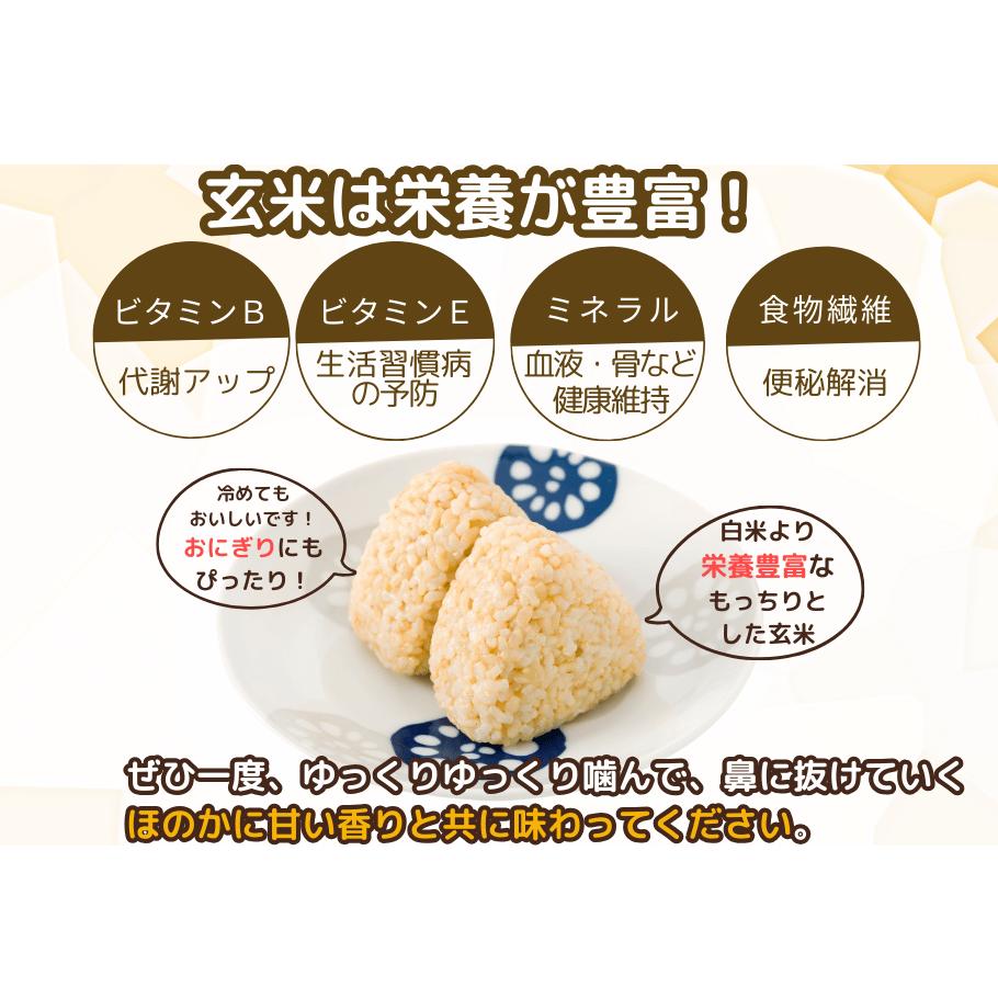 先行予約販売★自然栽培米★新米【令和6年産】玄米　 奥大和高原米3kg ９月末より順次発送,自然栽培米,新米,令和6年産,玄米,奥大和高原米,農家やまおか,無農薬,国産,お米,奈良県,宇陀市無農薬_イ