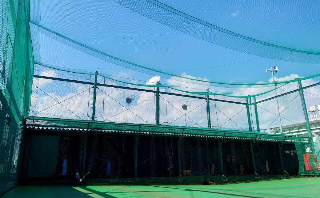 バッティング 6ゲームカード×2枚 サーキット 5レースカード×2枚セット