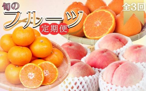 【全3回】旬のフルーツ定期便 【田村みかん 紀州デコ(不知火) 桃】 和歌山の旬をお届け【tkb313】