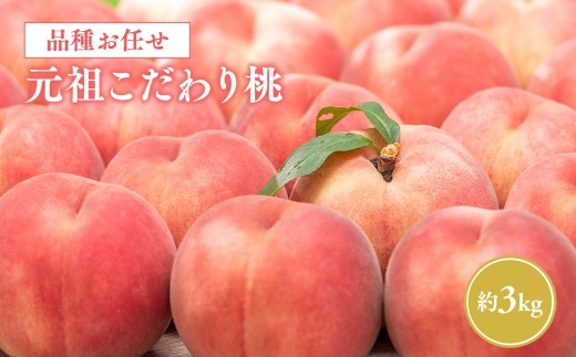
                  ≪8月中旬～9月発送予定≫  品種おまかせ 元祖こだわり桃 約3kg 【青森県 平川市 きむら果樹園】 フルーツ 果物 桃 もも モモ 白桃 ピーチ はくとう 平川市産 お取り寄せ 先行予約 旬 おまかせ 
                