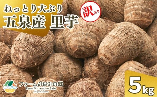 
                   【令和8年産先行予約】【訳あり】五泉産　大玉さといも（2L以上）5㎏ 新潟県 五泉市 ファームみなみの郷
                